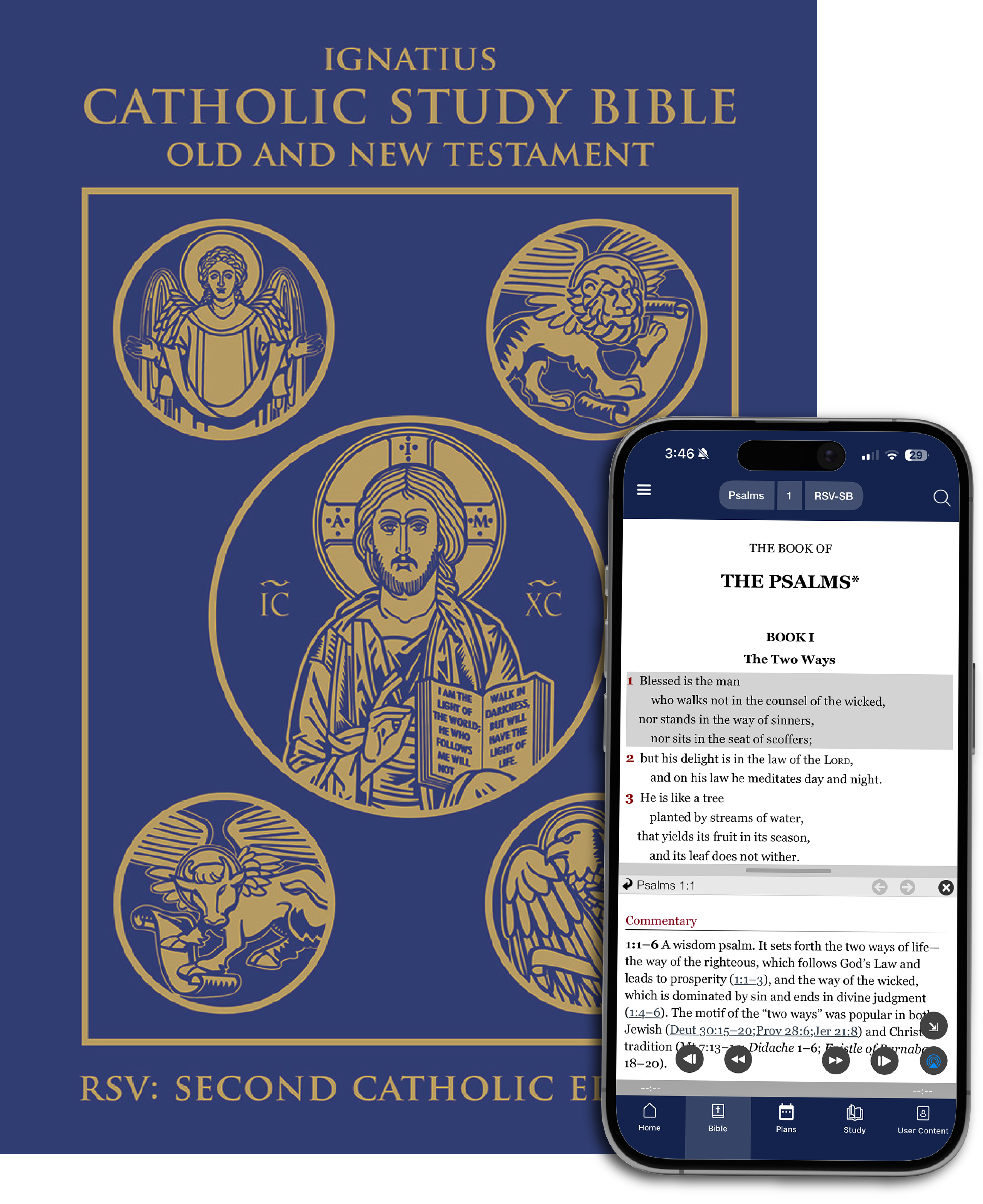 Ignatius Catholic Study Bible - Digital Edition